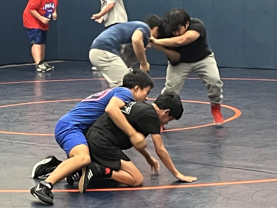 Wrestling is one sport that is a good activity to join and make some friends 