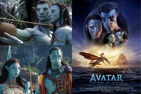 The movie, Avatar: The Way of Water attracted many viewers after it was released in theaters. 
