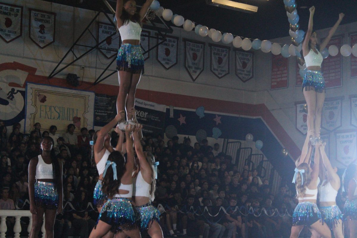 Cheer performed stunts and tricks at the rally.