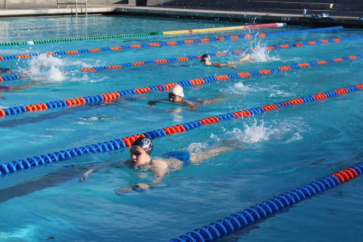 Varsity swim athletes are preparing for their first meet of the season.